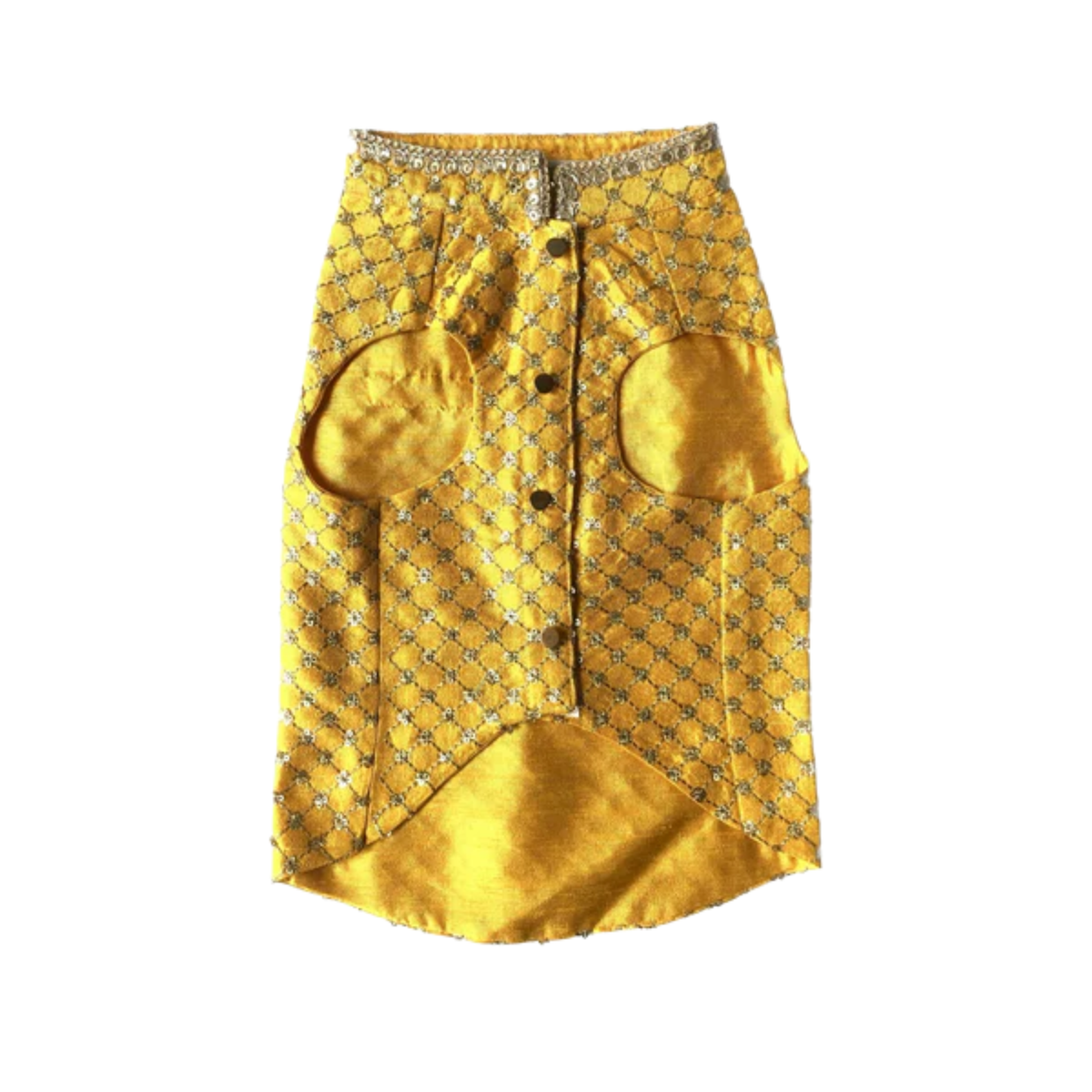 YELLOW GOLD DOG SHERWANI + YELLOW PAW-SOME RAKHI FOR DOGS AND CATS