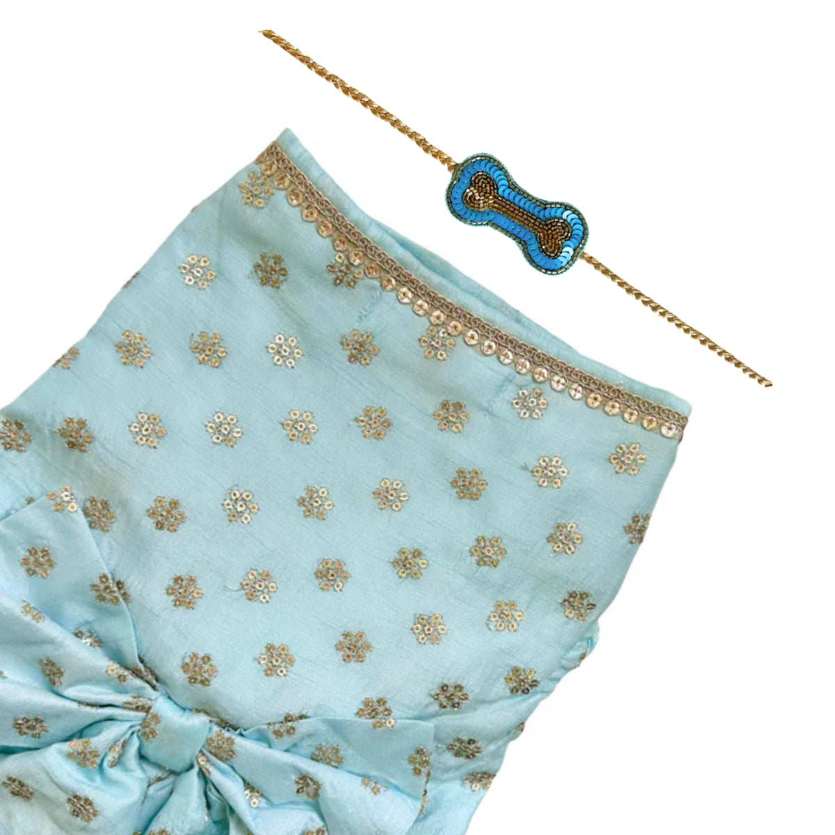 PASTEL BLUE GOLD BUTTI ANARKALI + BLUE BONE RAKHI FOR DOGS AND CATS