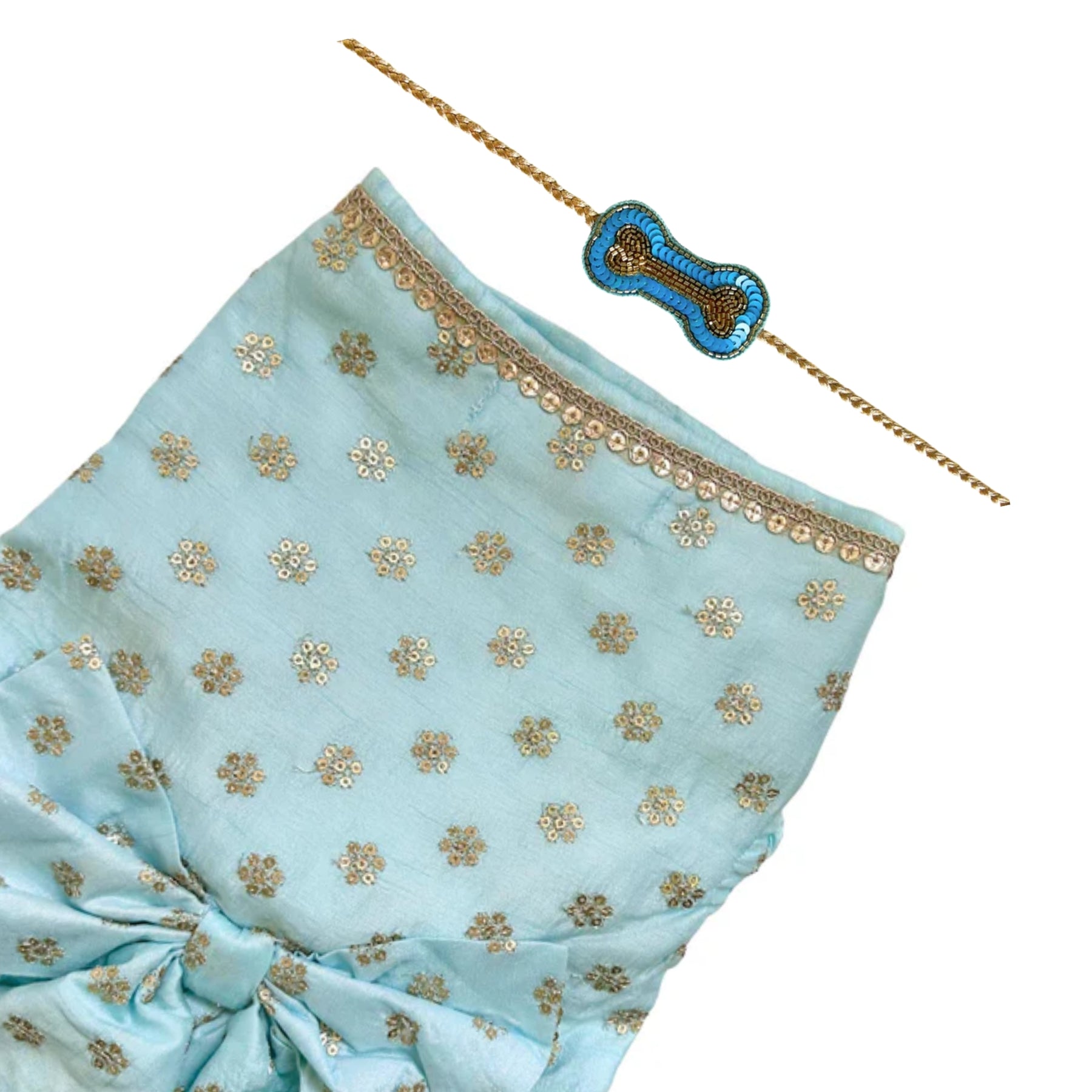 PASTEL BLUE GOLD BUTTI ANARKALI + BLUE BONE RAKHI FOR DOGS AND CATS