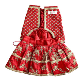 RED GOLD DOG LEHENGA + RED BONE RAKHI FOR DOGS AND CATS