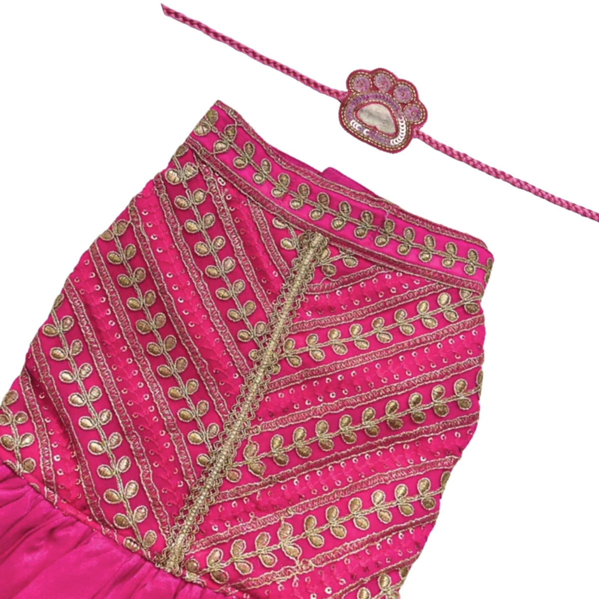 FUCHSIA LEAF ANARKALI + PINK PAW-SOME RAKHI FOR DOGS AND CATS