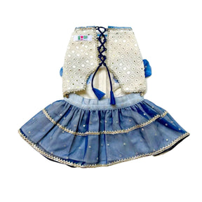 MIRROR WORK BLUE LEHENGA + SEQUINS BONE RAKHI FOR DOGS AND CATS