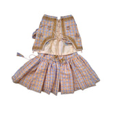 BEIGE BLUE DAINTY EMROIDERED TISSUE LEHENGA FOR DOGS AND CATS