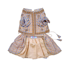 BEIGE BLUE DAINTY EMROIDERED TISSUE LEHENGA FOR DOGS AND CATS