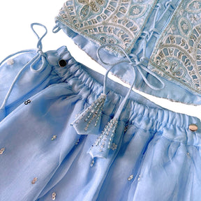 ICE BLUE ALENCON LACE HAND EMBROIDERED LEHENGA FOR DOGS AND CATS
