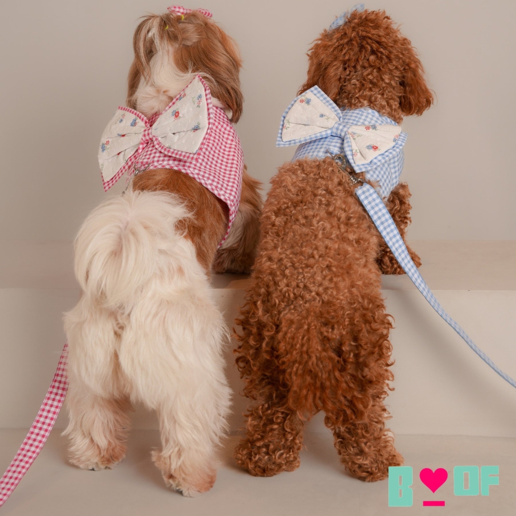 BLUE BIG BOW CHECK DOG HARNESS