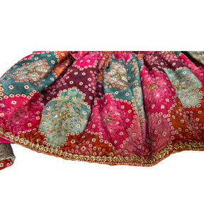 RANGREZ RANI VELVET HAND EMBROIDERED LEHENGA FOR DOGS AND CATS
