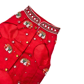 GAJRAJ CRIMSON HAND EMBROIDERD SHERWANI FOR DOGS AND CATS