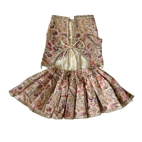 ISHQ BAHARA LEHENGA FOR DOGS AND CATS