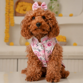 GULNOOR PRINTED HAND EMBROIDERED SHERWANI FOR DOGS AND CATS