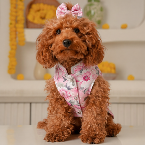 GULNOOR PRINTED HAND EMBROIDERED SHERWANI FOR DOGS AND CATS