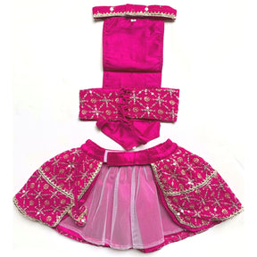 FESTIVE PINK DOG LEHENGA