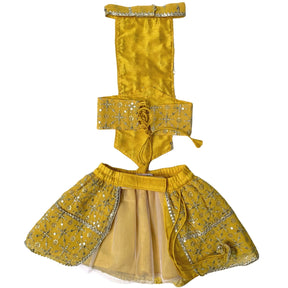 YELLOW FESTIVE DOG LEHENGA