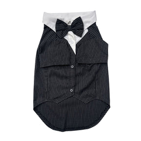 BLACK STRIPES DOG TUXEDO
