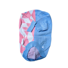 BLUE PINK TEDDY DOG SWEATER