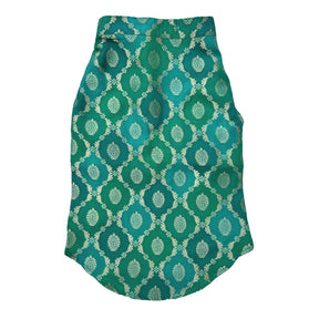 GREEN TWO TONE DOG KURTA