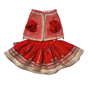 SURKH LAAL SHAHI LEHENGA FOR DOGS AND CATS