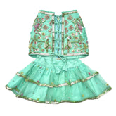 GARDEN OF BIRDS DOG LEHENGA