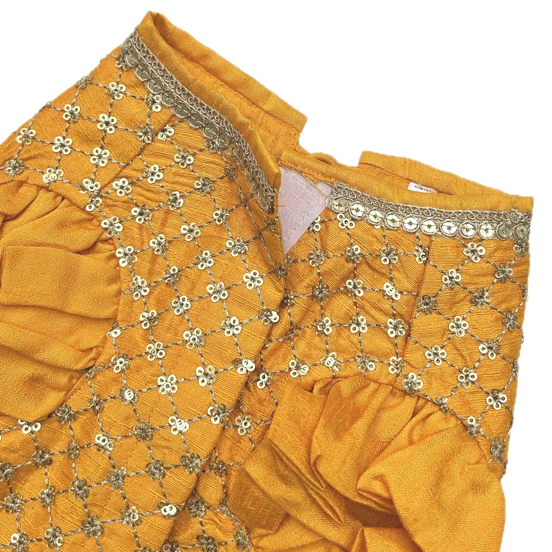 SUN YELLOW GOLD DOG LEHENGA