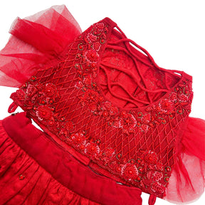 GULAB RED GOLD STONE WORK DOG LEHENGA
