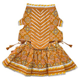 MUSTARD YELLOW PATIALA MOTIF DOG LEHENGA