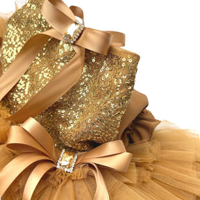 GOLD SEQUINS GEMSTONE DOG DRESS