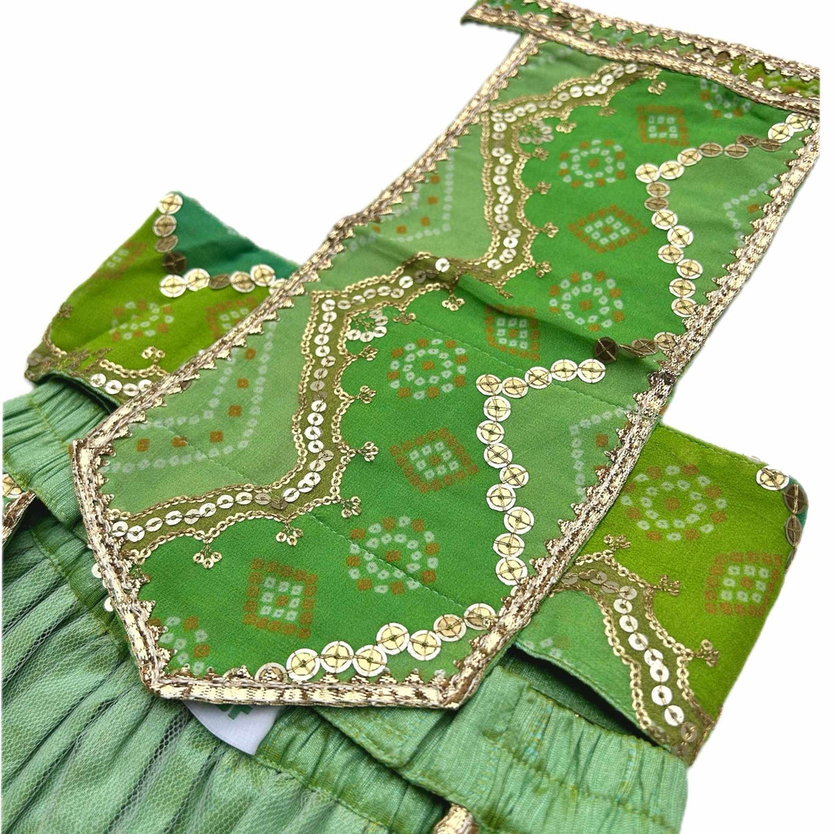 GREEN CHEVRON DOG LEHENGA
