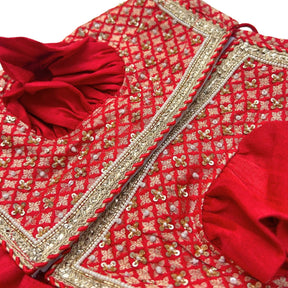 SURKH LAAL SHAHI LEHENGA FOR DOGS AND CATS