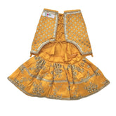 SUN YELLOW GOLD DOG LEHENGA