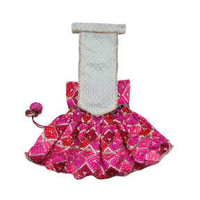 PINK DIAMOND DOG LEHENGA 