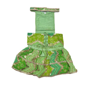 GREEN CHEVRON LEHENGA + LIGHT GREEN BONE RAKHI FOR DOGS AND CATS
