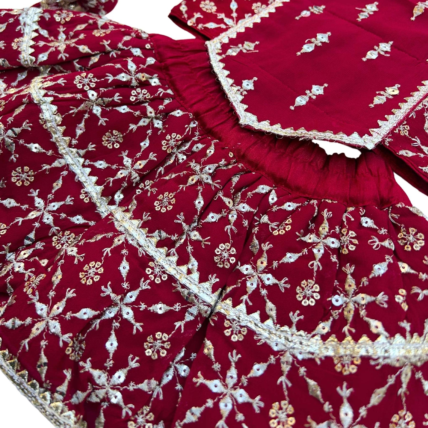 RED FESTIVE DOG LEHENGA