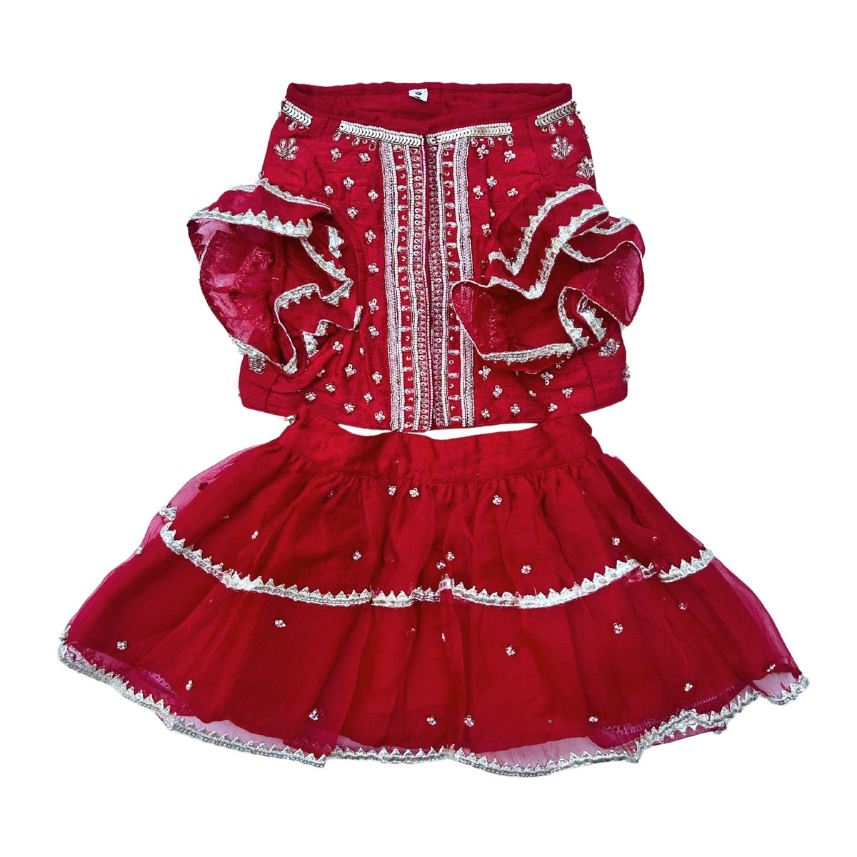 RED WHITE PATTA HAND EMBROIDERED DOG LEHENGA