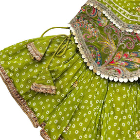 MEHENDI GREEN BANDHANI PRINT HALTER NECK LEHENGA FOR DOGS AND CATS