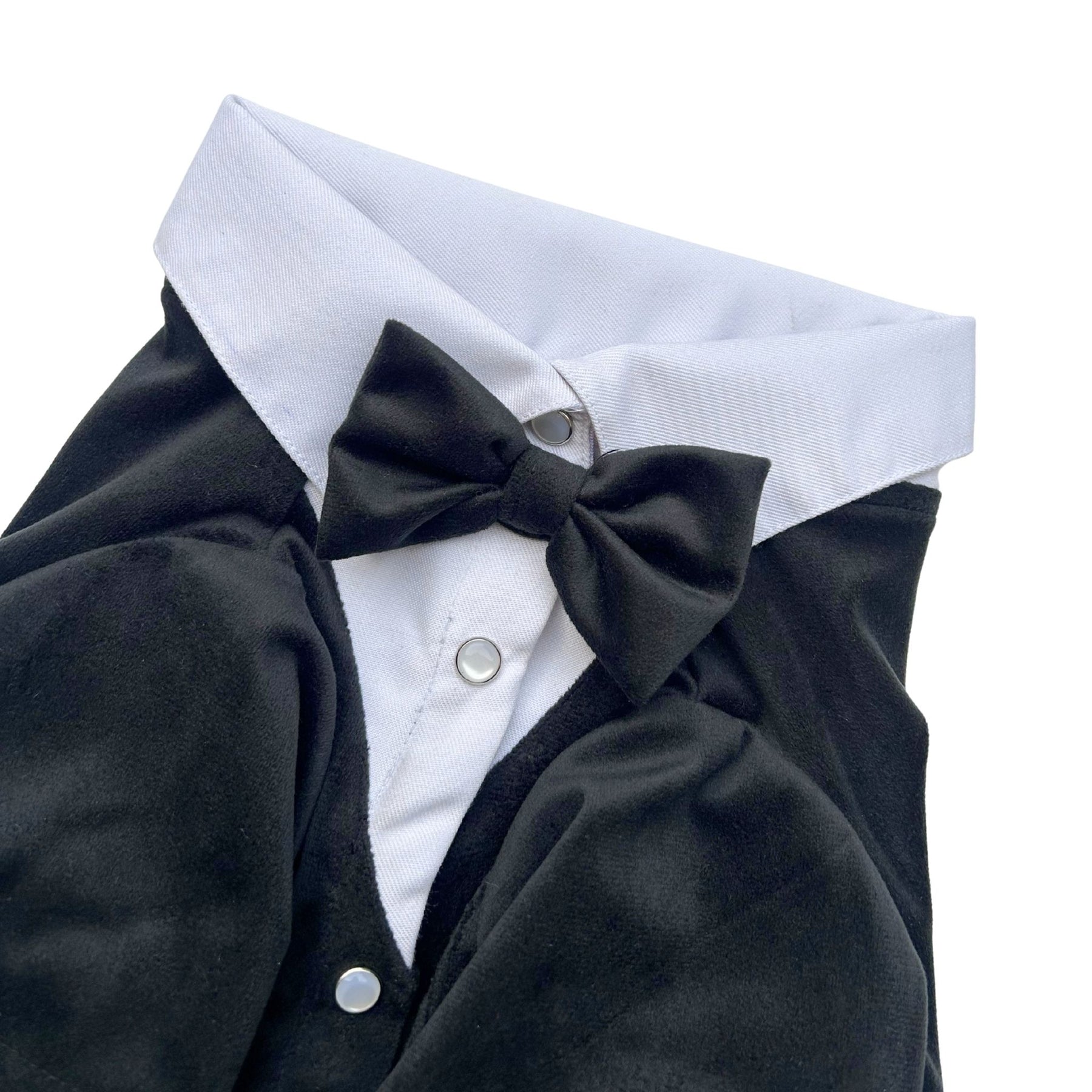 BLACK VELVET TUXEDO FOR DOGS AND CATS