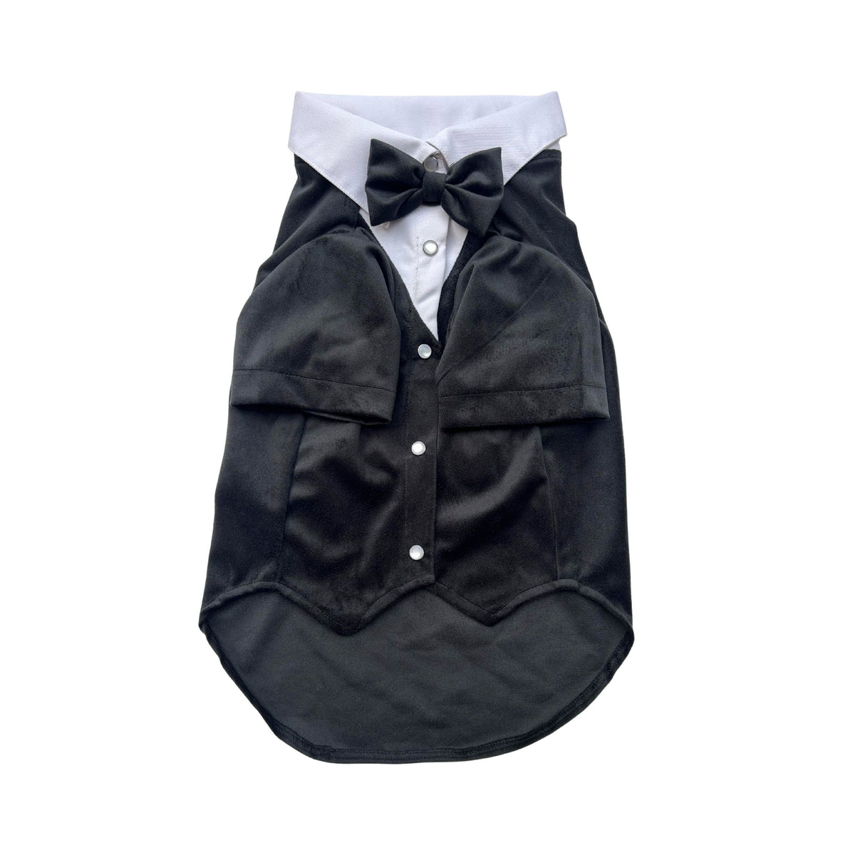 BLACK VELVET TUXEDO FOR DOGS AND CATS