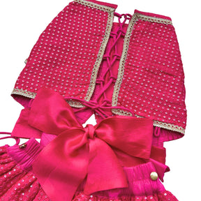 RANI PINK SITARA BOW LEHENGA FOR DOGS AND CATS