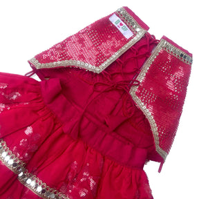 PINK SEQUINS DOG LEHENGA