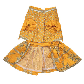 SUN YELLOW GOLD DOG LEHENGA+YELLOW PAW-SOME RAKHI FOR DOGS AND CATS