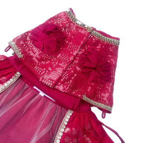 PINK SEQUINS DOG LEHENGA