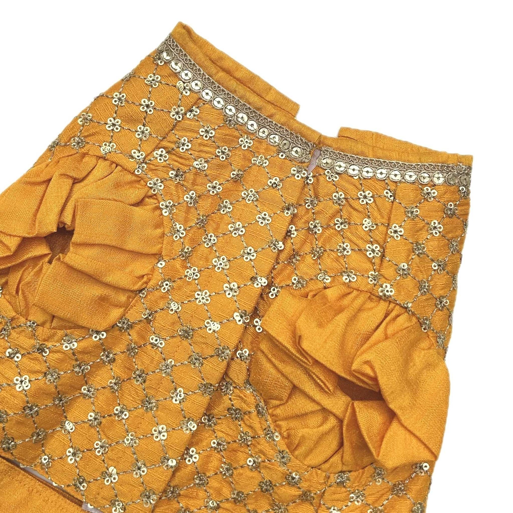 SUN YELLOW GOLD DOG LEHENGA