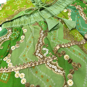 GREEN CHEVRON DOG LEHENGA