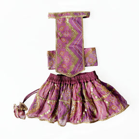 PURPLE CHEVRON LEHENGA + PINK BONE RAKHI FOR DOGS AND CATS