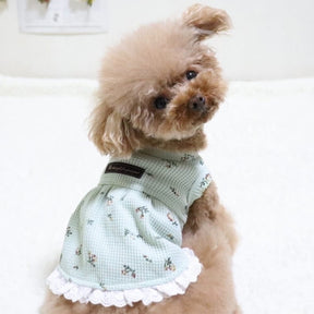 DAINTY FLORAL SLEEVELESS DOG DRESS