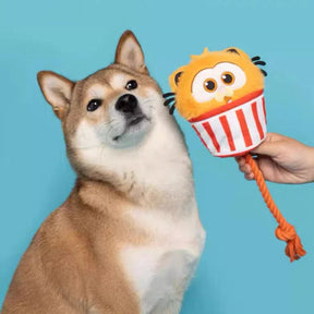 POPCORN ROPE PLUSH AND SQUEAKY DOG TOY