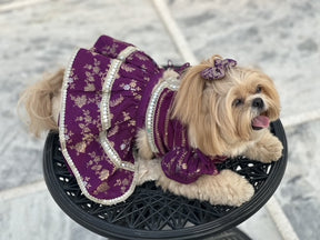 Dog Lehenga