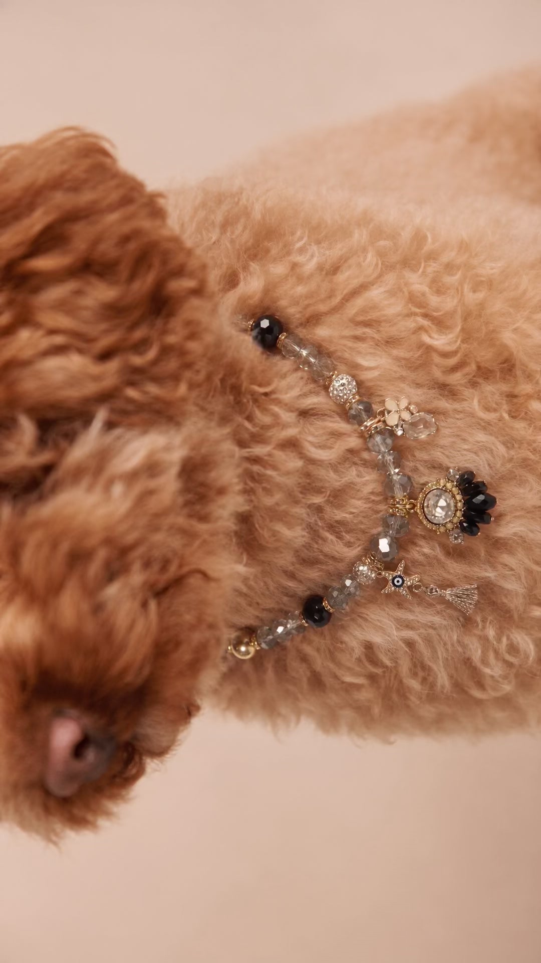 Midnight Aura Crystal Pet Necklace
