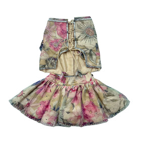 BEIGE GULNOOR PRINTED HAND EMBROIDERED LEHENGA FOR DOGS AND CATS