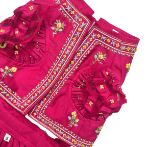 CARROT RED THREAD EMBROIDERED LEHENGA FOR DOGS AND CATS