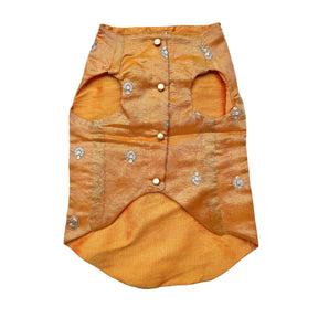 MUSTARD YELLOW FLORAL SEQUINS WAISTCOAT+YELLOW PAW-SOME RAKHI FOR DOGS AND CATS